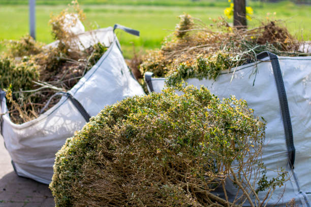 Yard Cleanup Services in Waretown, NJ